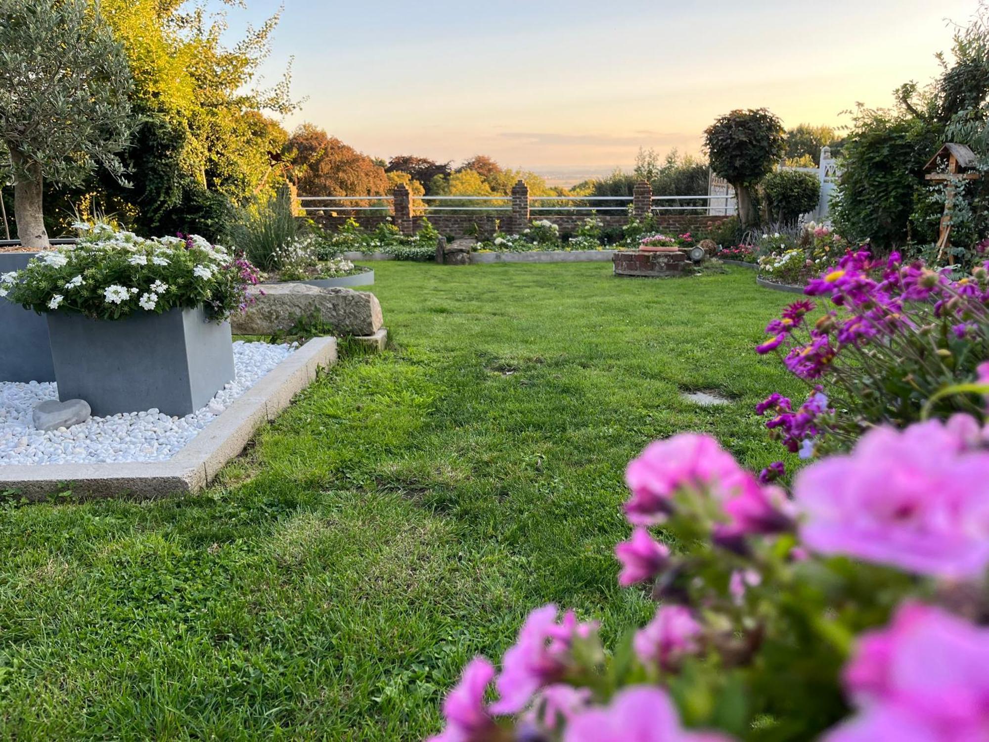 Le Petit Paradis Cassel Dış mekan fotoğraf