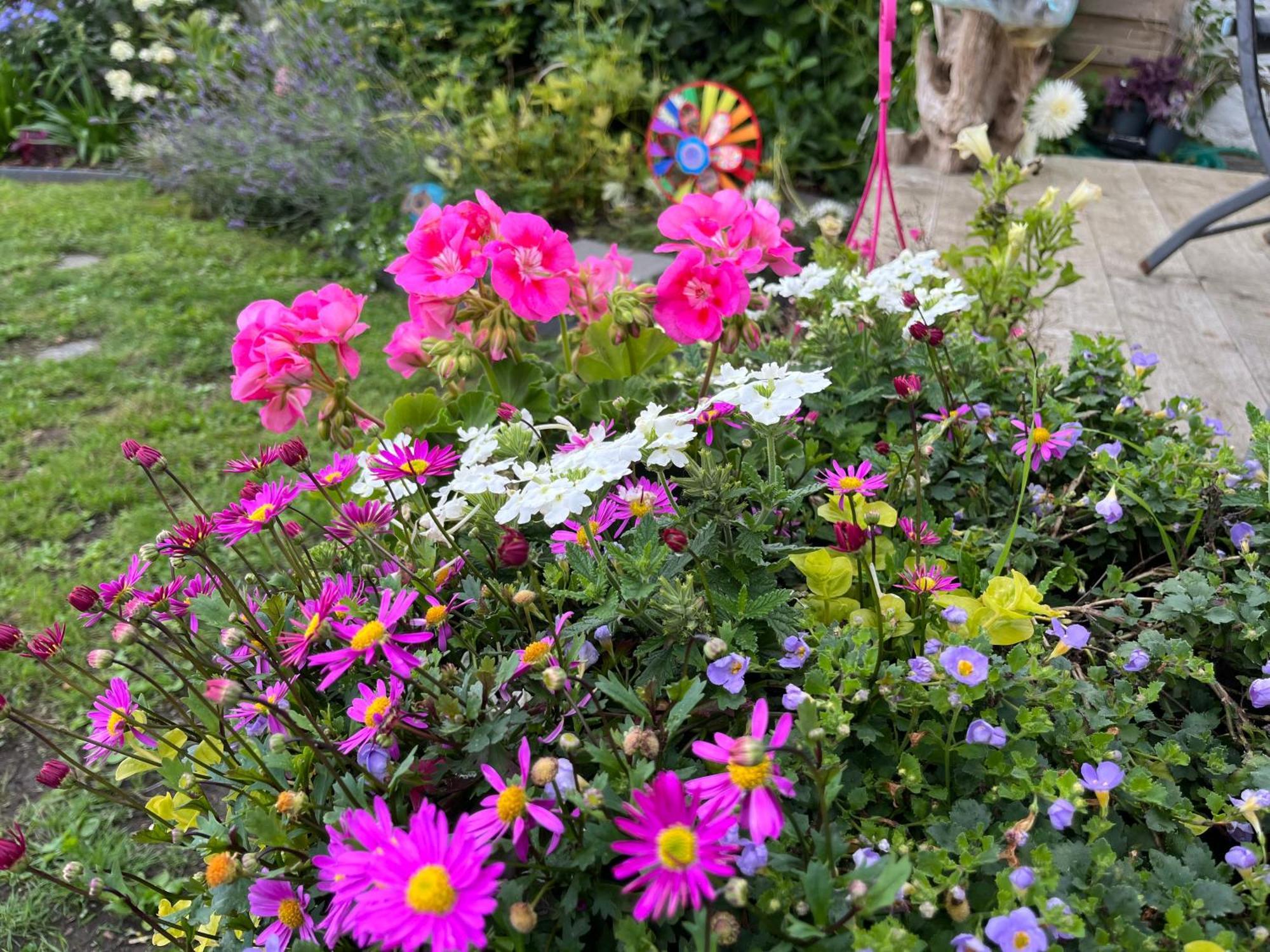 Le Petit Paradis Cassel Dış mekan fotoğraf